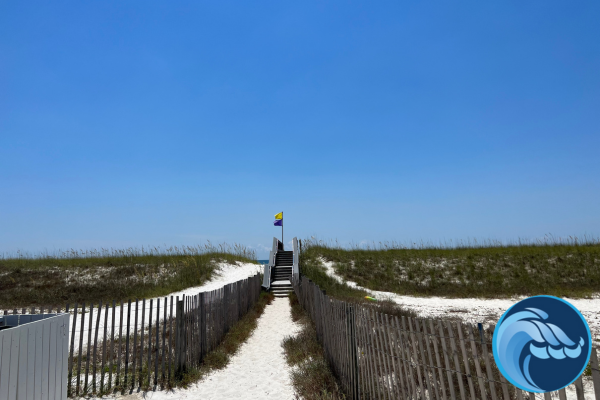 Beach Flag